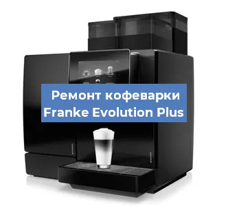 Чистка кофемашины Franke Evolution Plus от кофейных масел в Челябинске